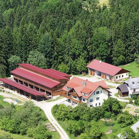 Ferienwohnungen Bauernhof Schilcher Sankt Stefan im Lavanttal Exterior foto